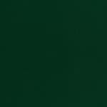 OTG_Tannengruen_SFTN_matt_A4